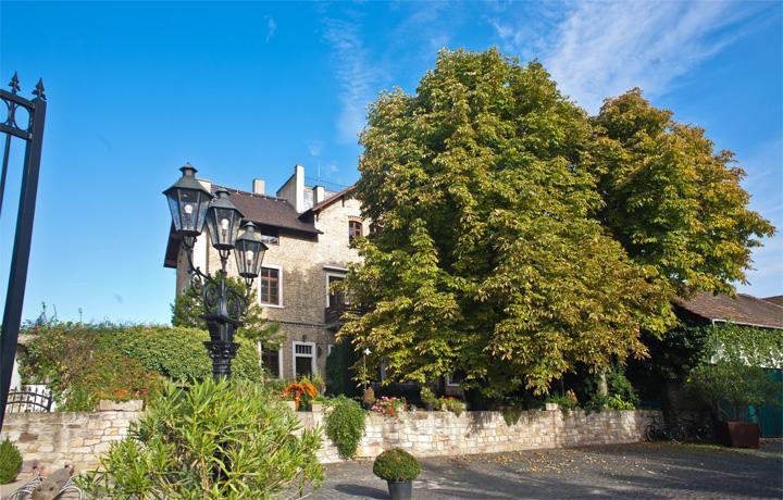 Battenheimer Hof Hotel 3*